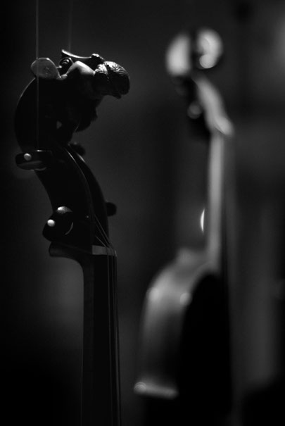 mimu | Museu dos Instrumentos Musicais